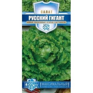 Семена салата Русский богатырь(гигант)( Г )
